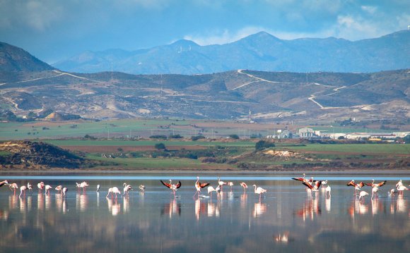 Озеро Алики, Ларнака, Кипр