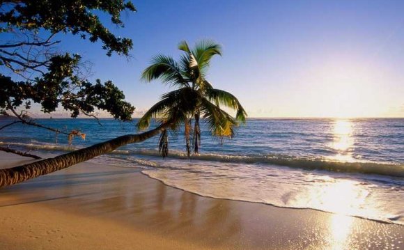 Лучшие пляжи в Гоа