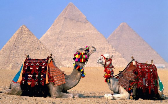 Советы Туристам в Египте